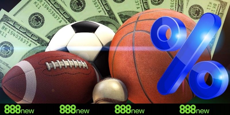 Cá cược thể thao siêu vượt trội mỗi ngày