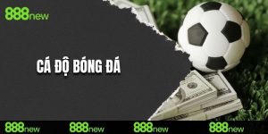 Cá độ bóng đá