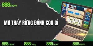 Mơ thấy rừng đánh con gì